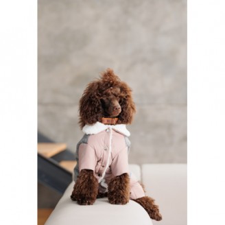 Костюм девочка Pet Fashion Twiddy S для собак от Pet Fashion