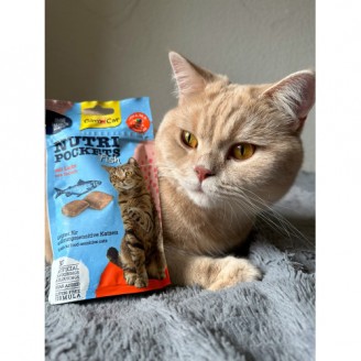 Лакомство для кошек GimCat Nutri Pockets Fish Лосось 60 г от GimCat