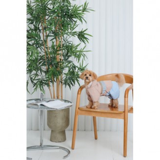 Дощовик Pet Fashion Tina для дівчаток розмір XL бежевий/блакитний від