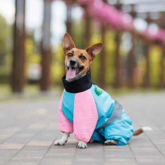 Комбинезон Pet Fashion Milly девочка для собак XL корги от Pet Fashion