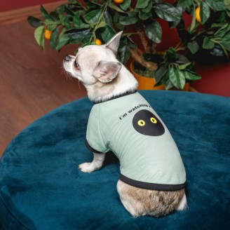 Футболка Pet Fashion Oscar для собак хлопок трикотаж рибана голубая XS2 от Pet Fashion