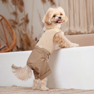 Шлея-костюм Darcy ТМ Pet Fashion для собак XXS бежева від