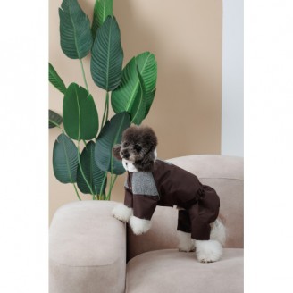 Костюм Pet Fashion Locky XXS для собак от Pet Fashion