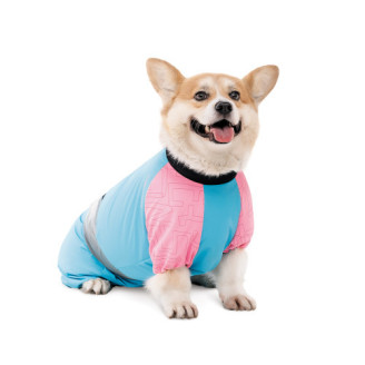 Комбинезон Pet Fashion Milly девочка для собак S такса от Pet Fashion