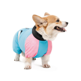 Комбинезон Pet Fashion Milly девочка для собак S такса от Pet Fashion