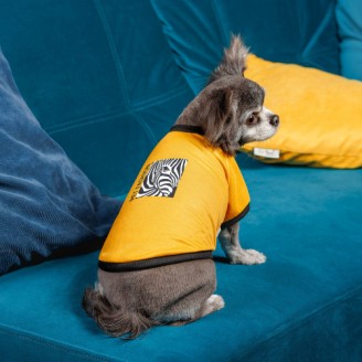 Футболка Pet Fashion Jessica для собак хлопок желтый трикотаж XS2 от Pet Fashion