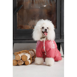 Комбінезон Pet Fashion Cherry S2 дівчинка для собак від