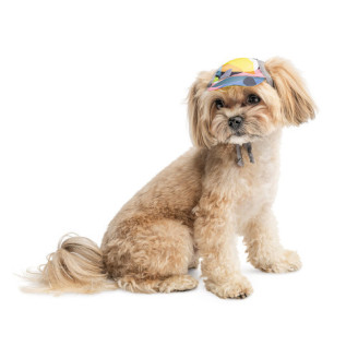 Кепка Tony ТМ Pet Fashion для собак M принт от Pet Fashion