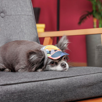 Кепка Tony ТМ Pet Fashion для собак M принт от Pet Fashion