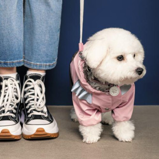 Дождевик Pet Fashion «Ariel» для девочки, размер M, розовый от Pet Fashion