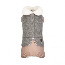 Костюм девочка Pet Fashion Twiddy ХS2 для собак