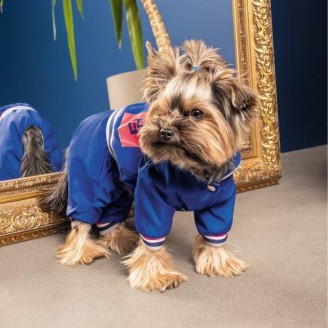 Дождевик Pet Fashion «Silver» для собак, размер XS-2, синий от Pet Fashion