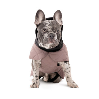 Попона Pet Fashion Max для собак M2 от Pet Fashion