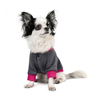 Толстовка Pet Fashion «Bim» для собак, розмір XS, сіра від