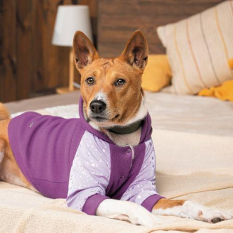 Толстовка Pet Fashion «Lilac» для дівчаток, розмір M, бузкова (лімітована серія) від