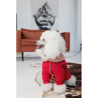 Кардиган Pet Fashion Garcia для собак размер M от Pet Fashion