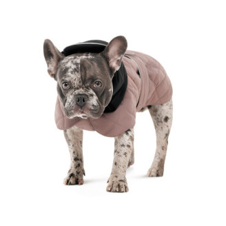 Попона Pet Fashion Max для собак S2 от Pet Fashion