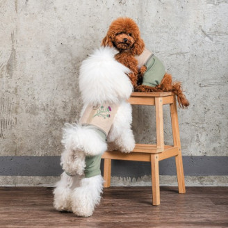 Шлея-костюм Pet Fashion для собак Patrik світло-сіра, розмір XS від