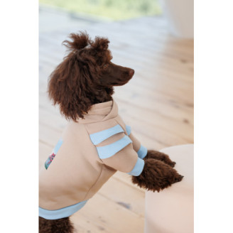 Худые Pet Fashion Home для девочек размер XS от Pet Fashion