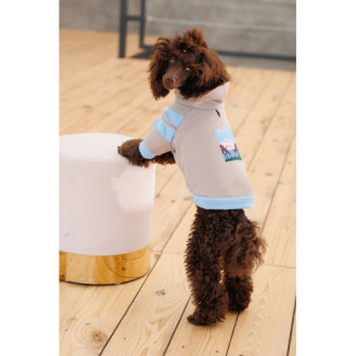 Худые Pet Fashion Home для девочек размер XS от Pet Fashion