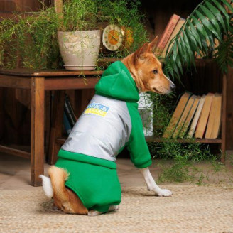 Костюм Pet Fashion «Leaf» для собак, размер L, зеленый (лимитированная серия) от Pet Fashion