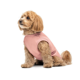 Борцівка Kale ТМ Pet Fashion для собак S рожева від