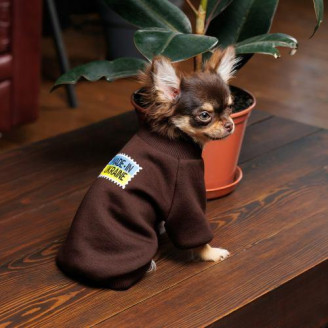 Толстовка Pet Fashion Made in Ukraine для собак, размер S, шоколадный от Pet Fashion