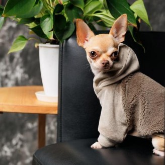 Светр Pet Fashion «Nick» для собак, розмір L, мокко (лімітована серія) від