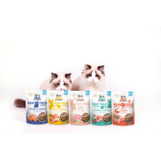 Лакомства для котят Brit Raw Treat Kitten Freeze-dried с курицей и лососем, 40 г от Brit Care