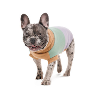 Купити Светр в'язаний Pet Fashion Rich для собак такса XS від — Одяг для собак | Zooprostir