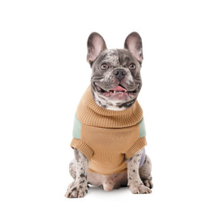Купити Светр в'язаний Pet Fashion Rich для собак такса XS від — Одяг для собак | Zooprostir