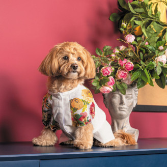 Рубашка Pet Fashion Соломия для собак белая девочка XS2 от Pet Fashion