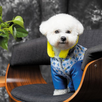 Костюм Pet Fashion Tender для дівчаток, розмір M, синій від