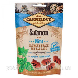 Купити Ласощі Carnilove Cat Crunchy Snack для котів, лосось та м'ята, 50 г від CarniLove — Ласощі для кішок | Zooprostir
