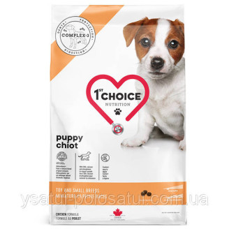 Купити 1st Choice Puppy Toy and Small 5 кг корм для цуценят міні та малих порід з куркою від 1st Choice — 1st Choice для собак | Zooprostir
